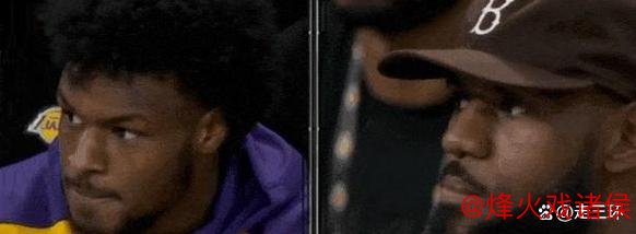 季前赛-湖人詹眉缺席不敌森林狼 布朗尼6投仅1中