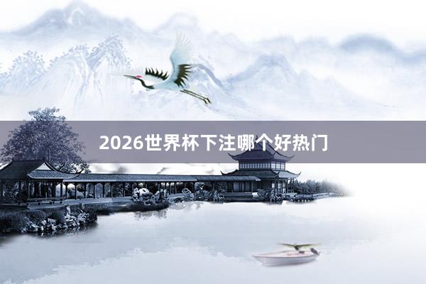 2026世界杯下注哪个好热门